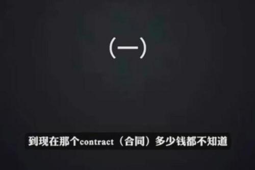 谁爆料李玟录音的视频在哪看,揭秘事件真相，观看途径全解析  第2张